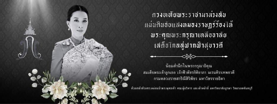 สมเด็จพระเจ้าลูกเธอ เจ้าฟ้าพัชรกิติยาภา